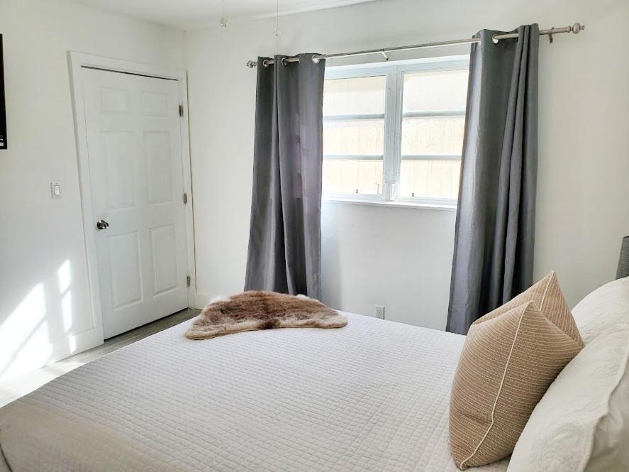 Stylish & Newly-Renovated Suites Near Las Olas Форт Лодърдейл Екстериор снимка